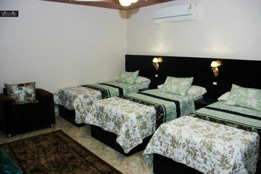 Aswan Plaza - Share Apartment מראה חיצוני תמונה